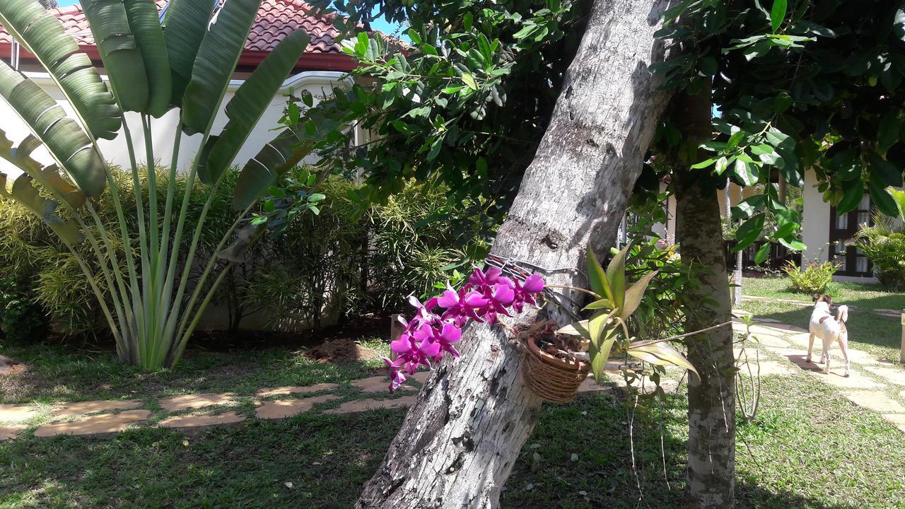 Lanka Beach Grand Villa Rekawa Экстерьер фото